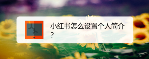 小紅書個(gè)人簡介怎么設(shè)置